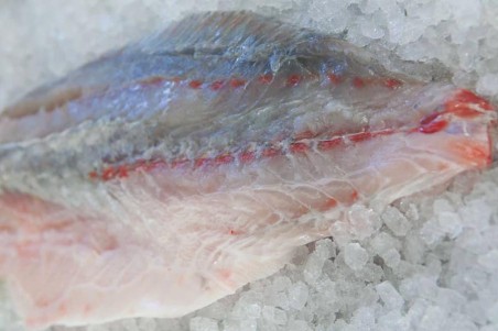 BARRAMUNDI (මෝධා) FILLET WITHOUT SKIN - 500G