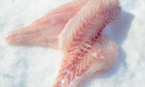 BARRAMUNDI (මෝධා) FILLET WITHOUT SKIN - 500g