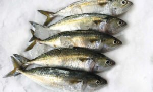 INDIAN MACKEREL (කුම්බලා) - 1kg (WHOLE FISH CELANED)