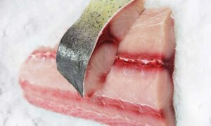 MAHI MAHI (මාහි මාහි) FILLET - 500g