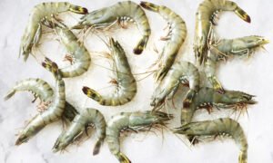 PRAWNS (ඉස්සා) SMALL - 500g (45 TO 55 PCS PER kg)