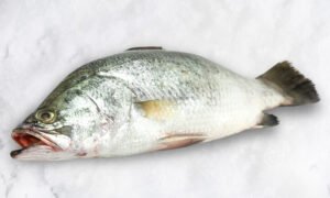 BARRAMUNDI (මෝධා) - 1kg (WHOLE FISH CLEANED)