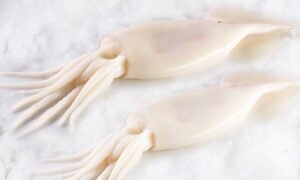 CUTTELFISH FRESH - LARGE CLEANED - 500g