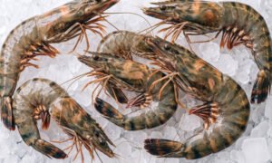 PRAWNS (ඉස්සෝ) LARGE (21 TO 30 PCS PER kg) - 500g