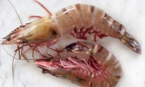 PRAWNS (ඉස්සා) JUMBO - 500g (15 TO 18 PCS PER kg)