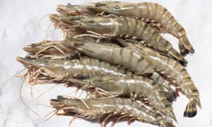 PRAWNS (ඉස්සා) MEDIUM - 500g (31 TO 40PCS PER kg)