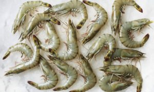 PRAWNS SMALL (45 TO 55 PCS PER kg) - 500g