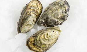 OYSTERS - 1KG