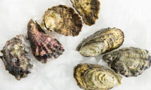 OYSTERS (බෙල්ලා) - 1KG